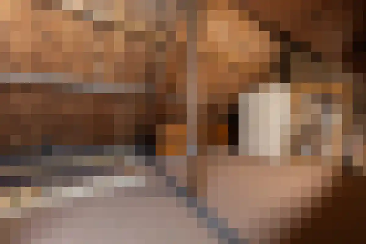 Diergaarde 14 Ulft thumbnail 43