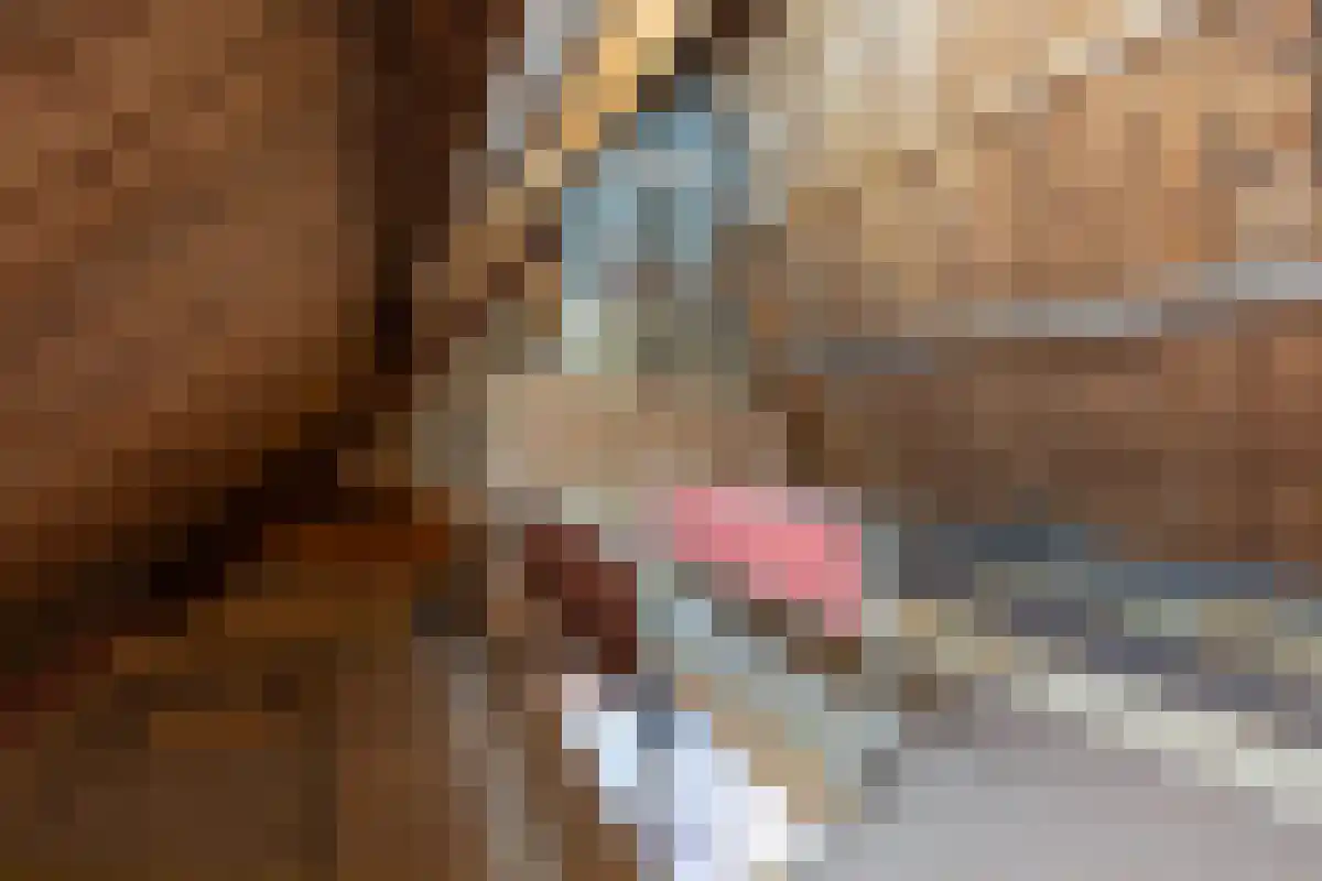 Diergaarde 14 Ulft thumbnail 44