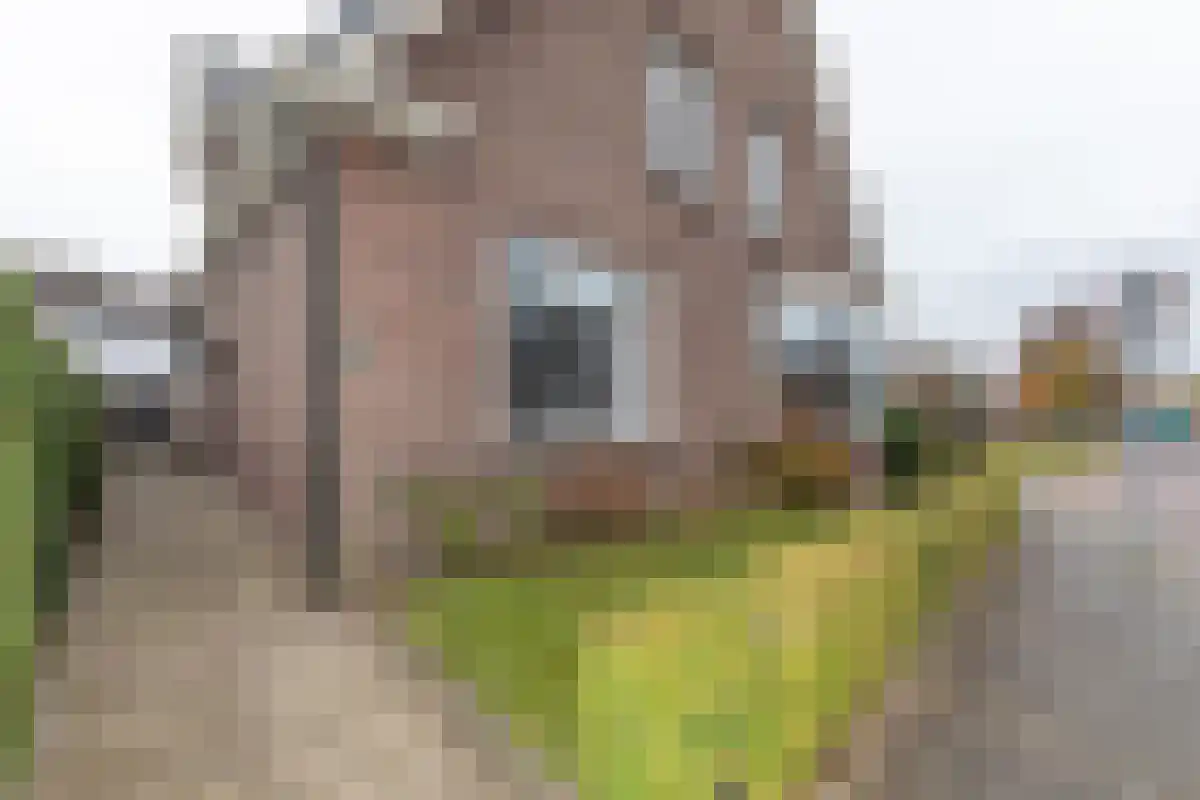 Diergaarde 14 Ulft thumbnail 5