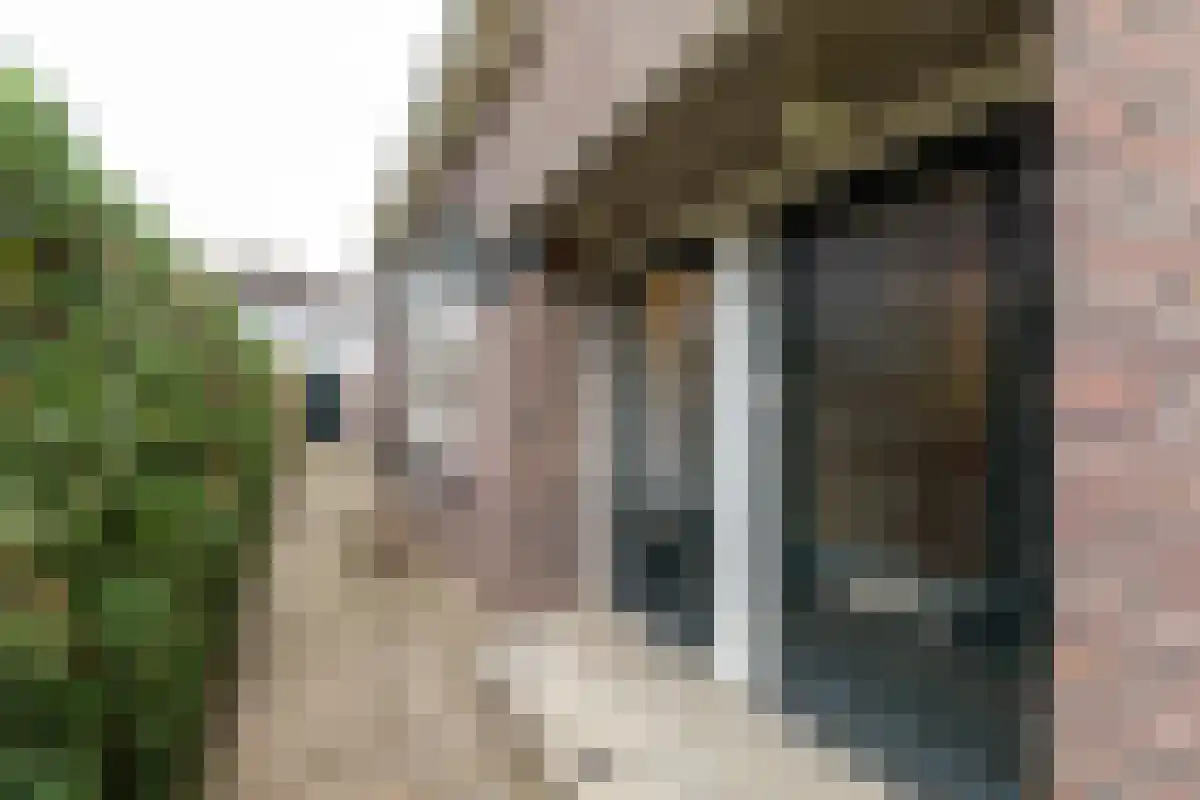 Diergaarde 14 Ulft thumbnail 7