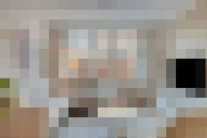 Diergaarde 26 Ulft thumbnail 11