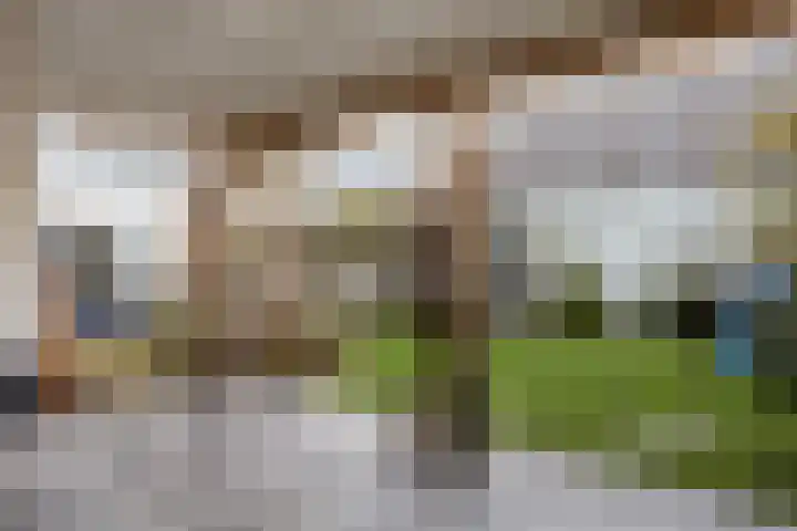 Diergaarde 26 Ulft foto 2