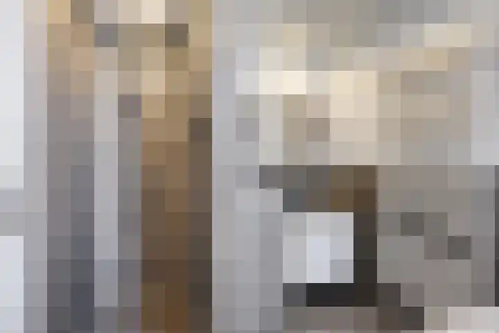 Diergaarde 26 Ulft thumbnail 21