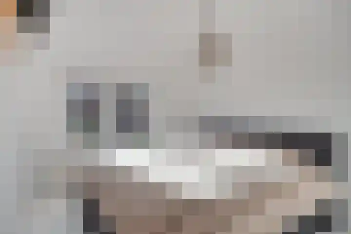 Diergaarde 26 Ulft thumbnail 27