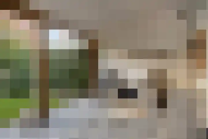 Diergaarde 26 Ulft thumbnail 36