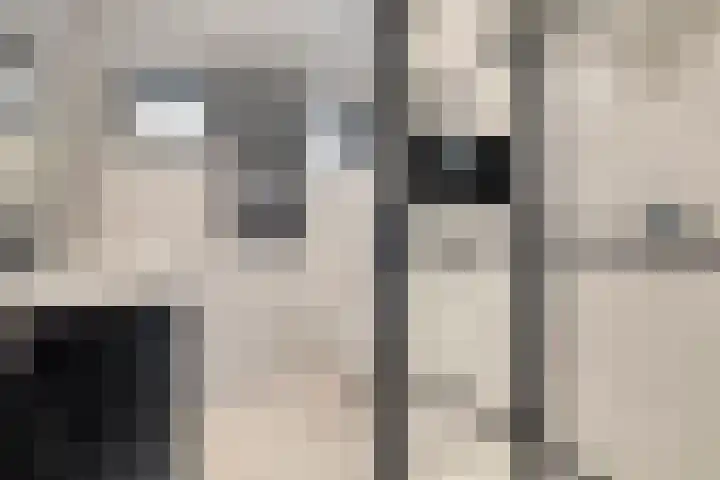 Dierick Boutsstraat 8 Axel thumbnail 18