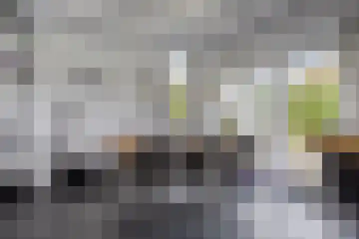Dierikweg 4 Oudelande thumbnail 14