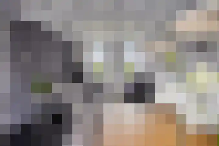 Dierikweg 4 Oudelande thumbnail 15