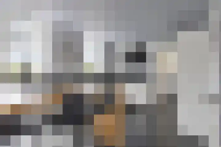 Dierikweg 4 Oudelande thumbnail 16