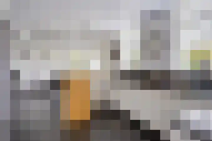 Dierikweg 4 Oudelande thumbnail 17