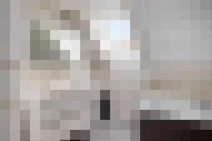 Dierikweg 4 Oudelande thumbnail 27