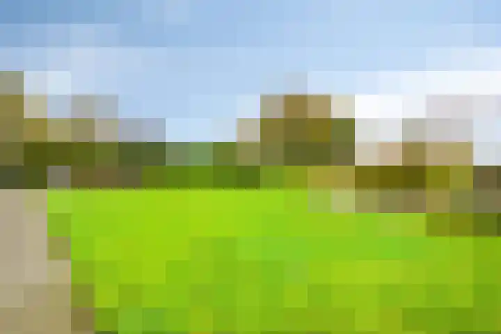 Dierikweg 4 Oudelande thumbnail 33