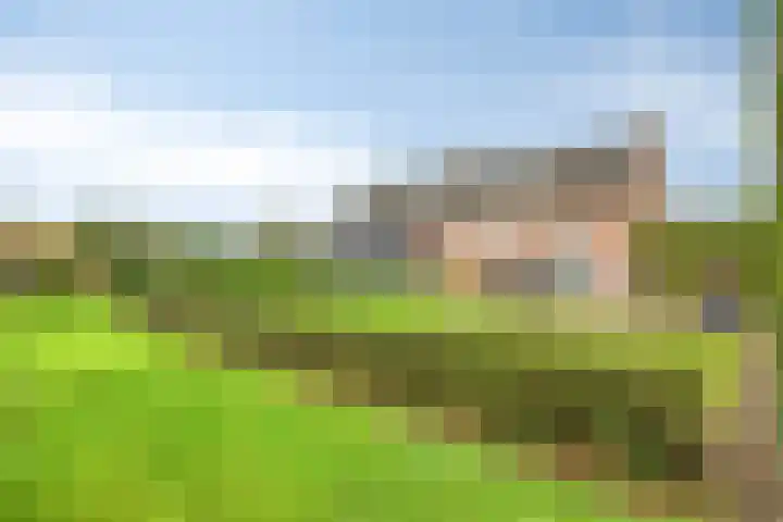 Dierikweg 4 Oudelande thumbnail 39