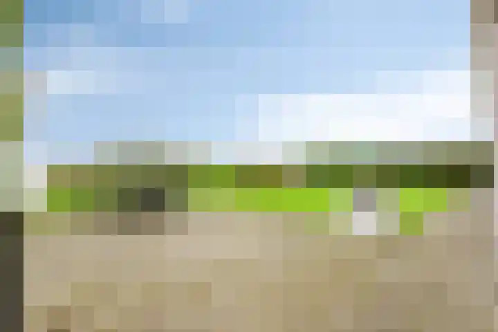 Dierikweg 4 Oudelande thumbnail 4