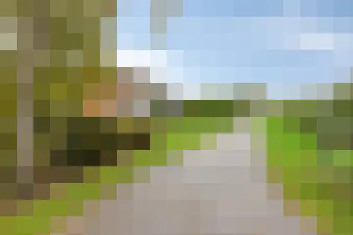 Dierikweg 4 Oudelande thumbnail 6