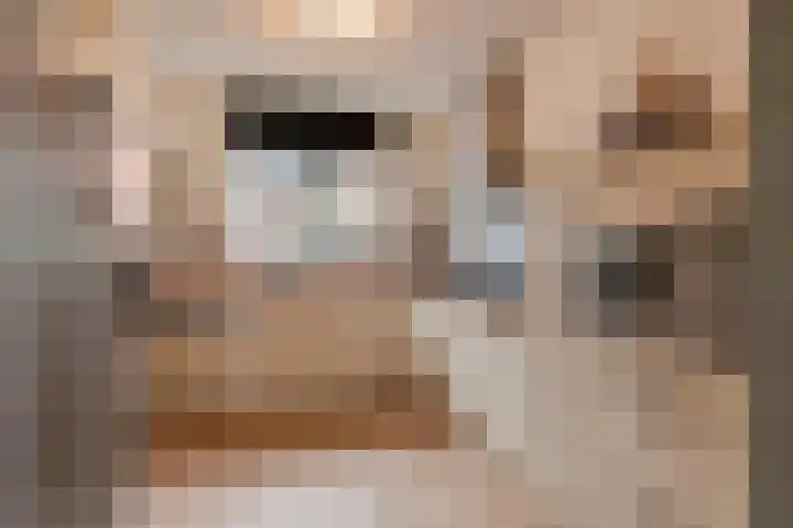 Diet Kramerhof 8 Culemborg thumbnail 13