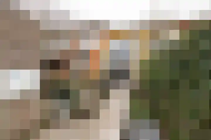 Diet Kramerhof 8 Culemborg thumbnail 14