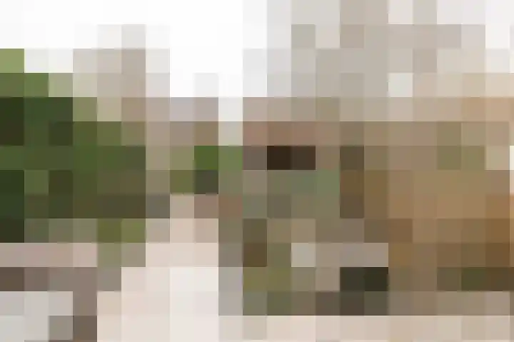 Diet Kramerhof 8 Culemborg thumbnail 16
