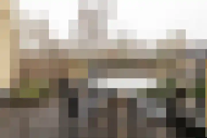 Diet Kramerhof 8 Culemborg thumbnail 23