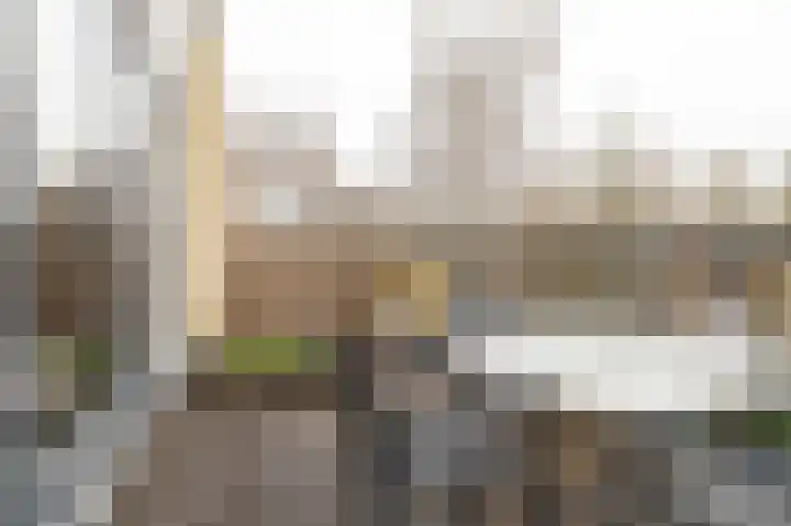 Diet Kramerhof 8 Culemborg thumbnail 24