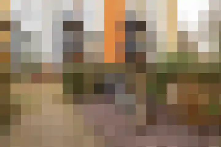 Diet Kramerhof 8 Culemborg thumbnail 46