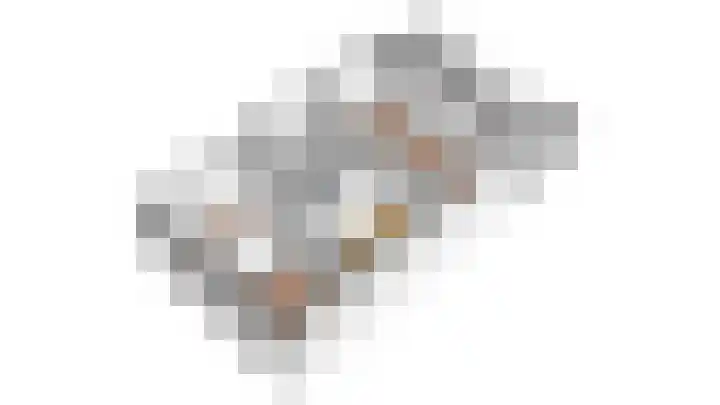 Diet Kramerhof 8 Culemborg thumbnail 55