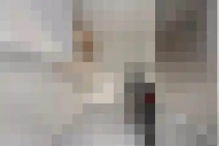 Dieterderweg 68 Susteren thumbnail 21