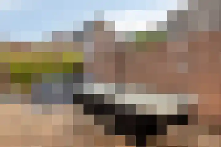 Dieterderweg 68 Susteren thumbnail 22