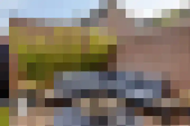 Dieterderweg 68 Susteren thumbnail 24