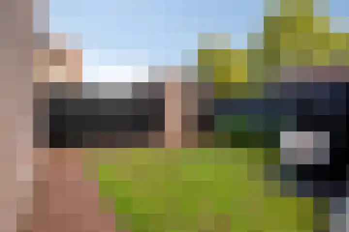 Dieterderweg 68 Susteren thumbnail 25