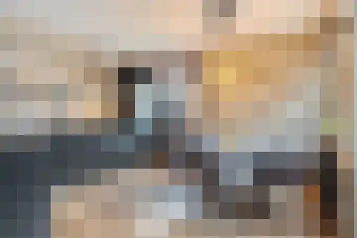Dieterderweg 68 Susteren thumbnail 6