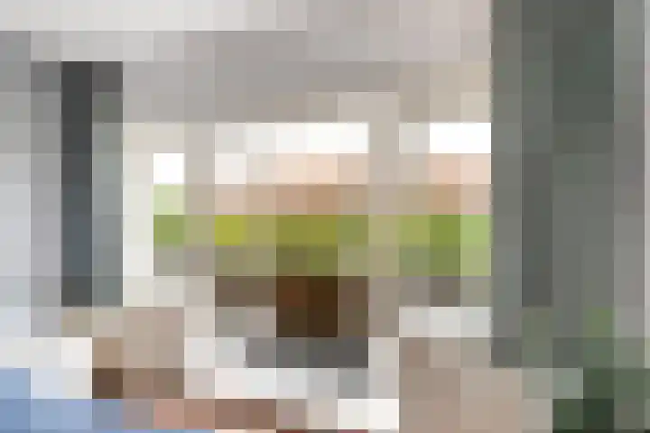 Dietsveld 39 Haarlem thumbnail 19