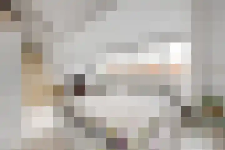 Dietsveld 39 Haarlem thumbnail 31