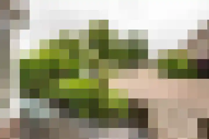 Dietsveld 39 Haarlem thumbnail 35