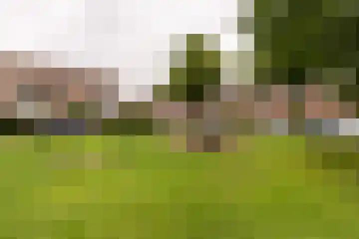 Dietsveld 39 Haarlem thumbnail 6