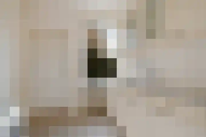 Dievelings 24 Eelde thumbnail 16