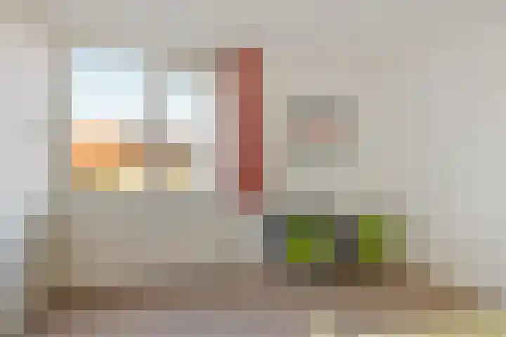Dievelings 24 Eelde thumbnail 22