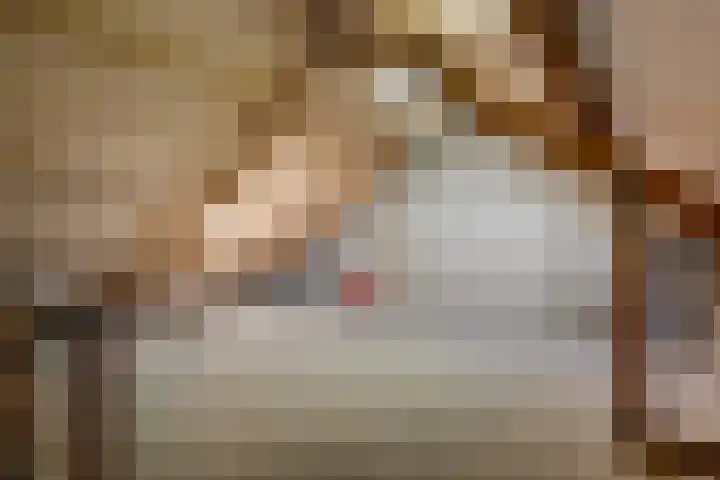 Dievelings 24 Eelde thumbnail 30