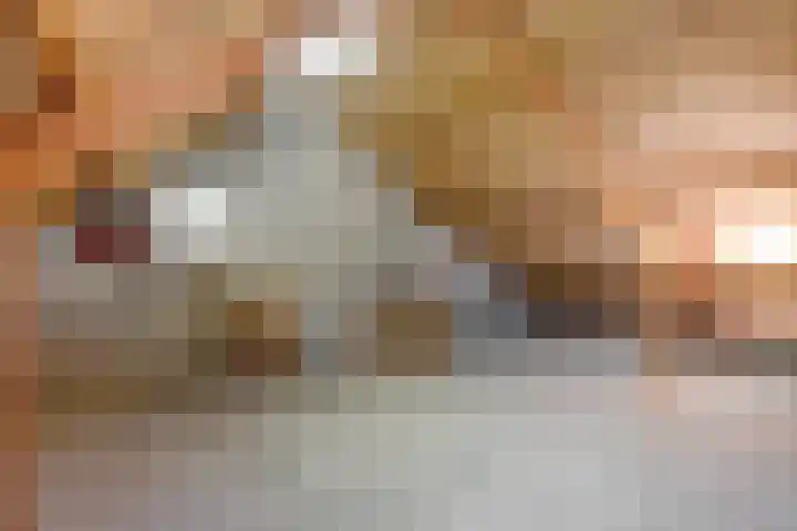 Dievelings 24 Eelde thumbnail 31
