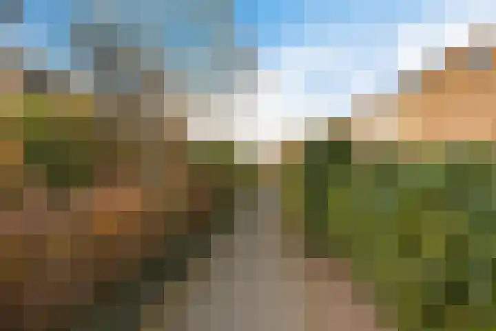Dievelings 24 Eelde thumbnail 35