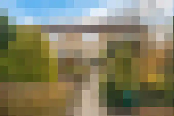 Dievelings 24 Eelde thumbnail 4