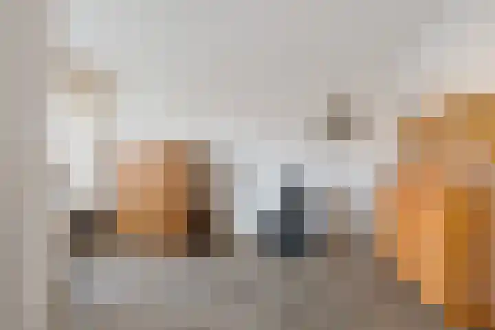 Dievelings 24 Eelde thumbnail 9