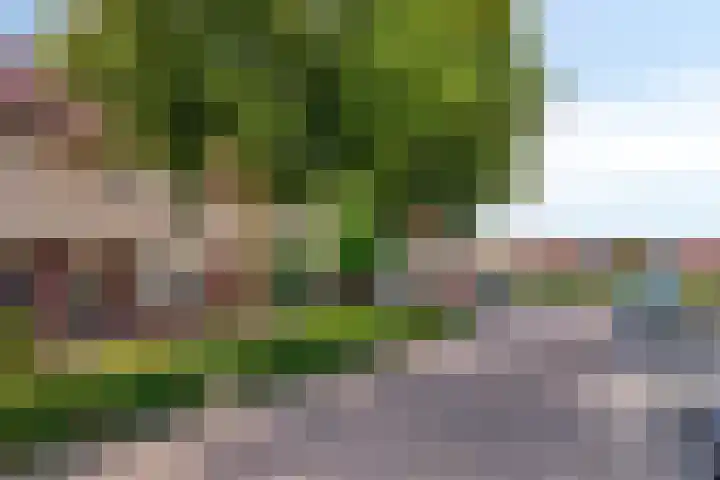 Dieze 11 Veldhoven thumbnail 26