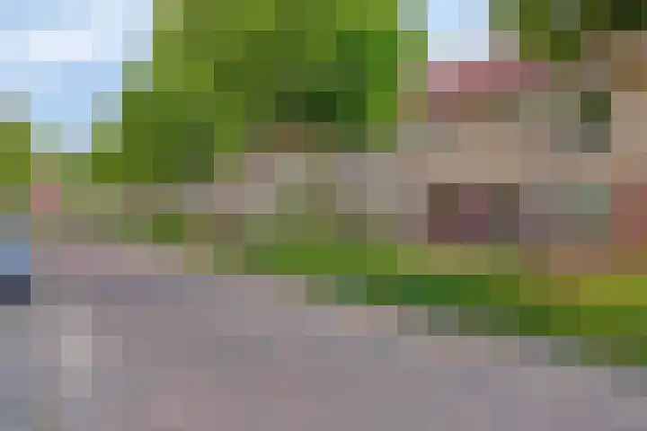 Dieze 11 Veldhoven thumbnail 27