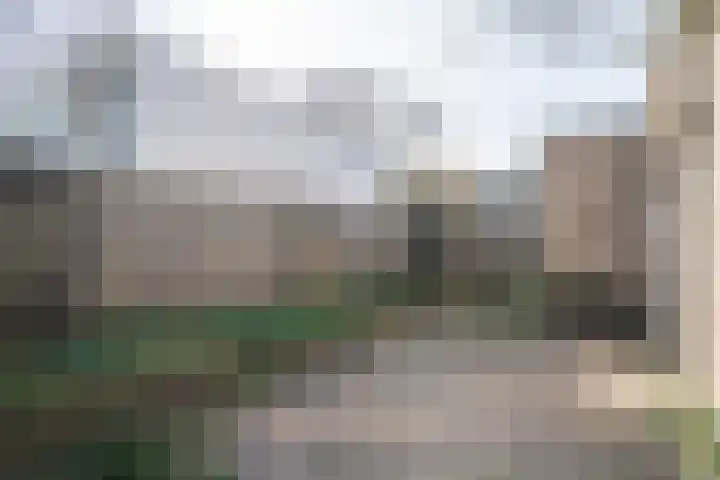 Dieze 24 Deurne thumbnail 11