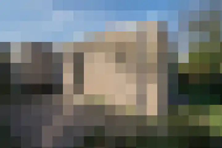 Dieze 24 Deurne thumbnail 12