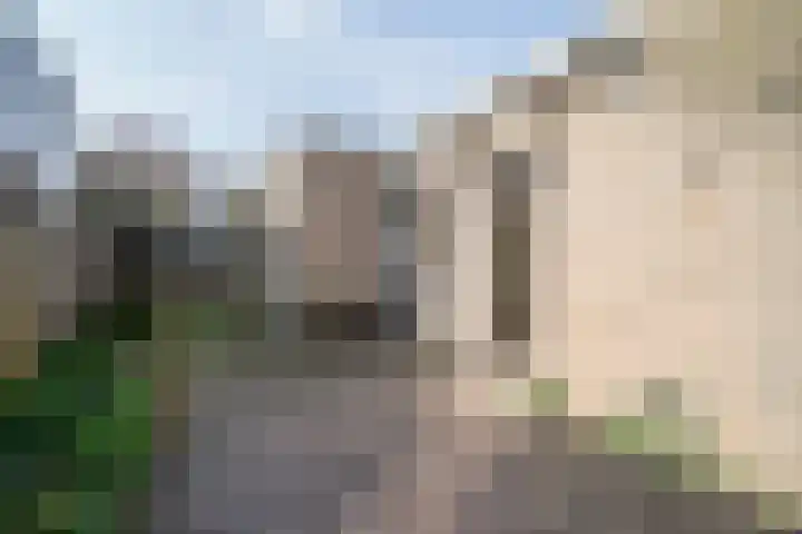 Dieze 24 Deurne thumbnail 13