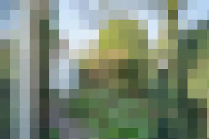 Dieze 24 Deurne thumbnail 16