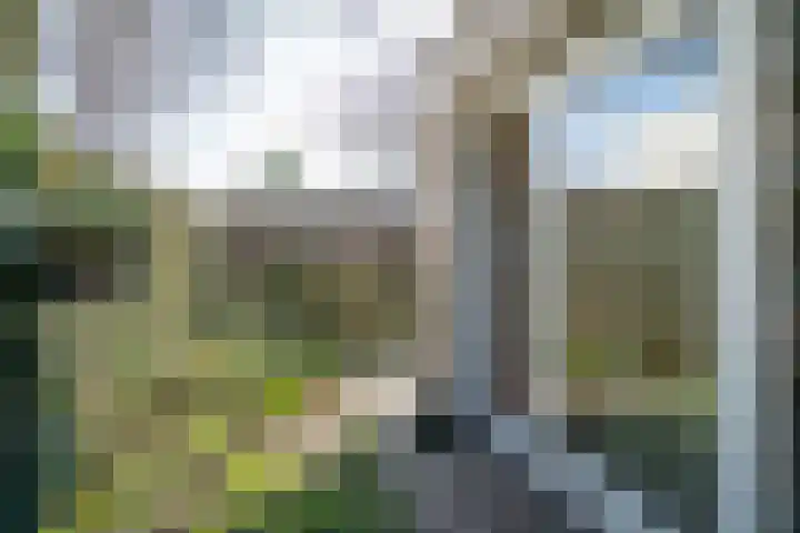 Dieze 24 Deurne thumbnail 17