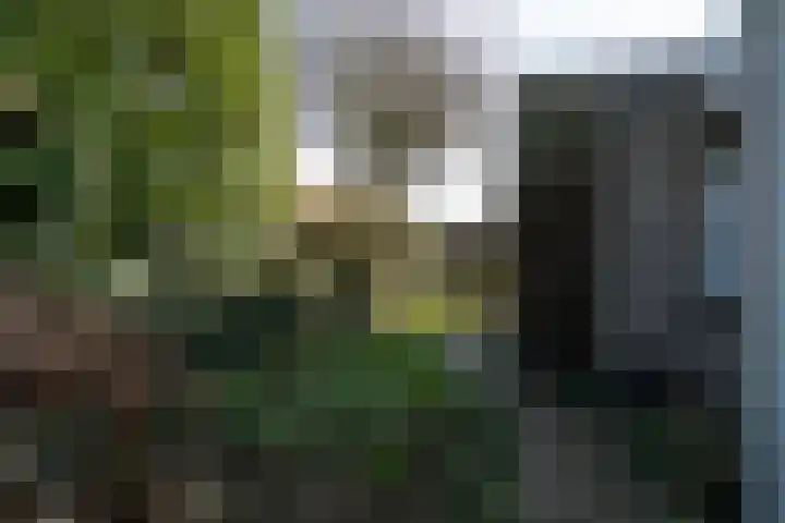 Dieze 24 Deurne thumbnail 20